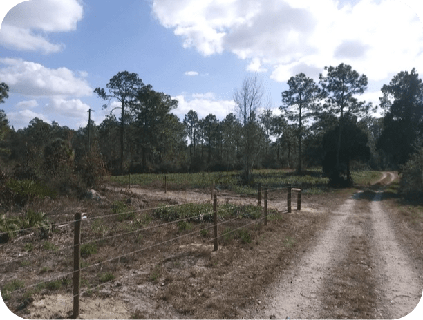 ag fence 4